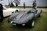 Jaguar D-Type 1954 года